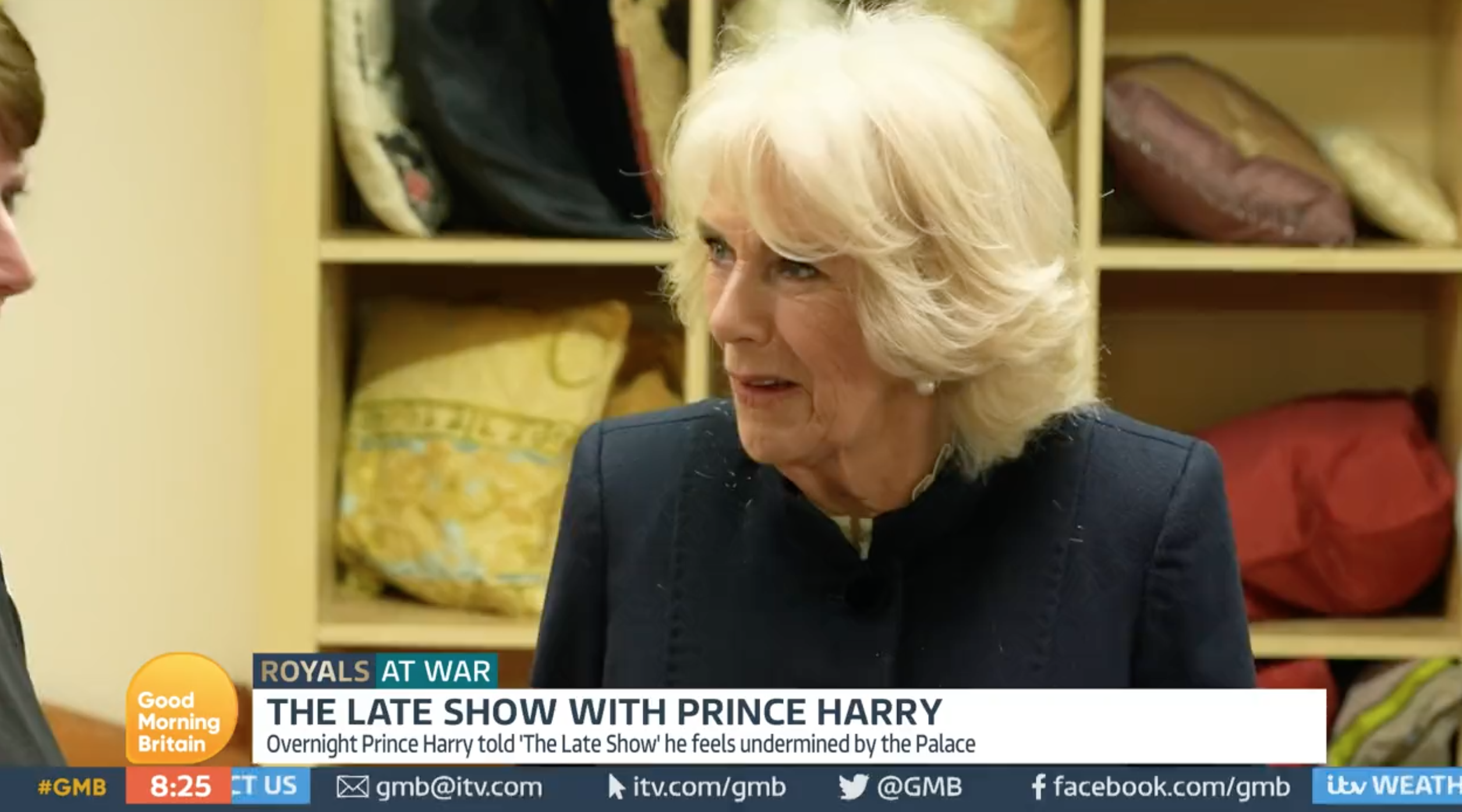 Queen Consort Camilla at an engagement