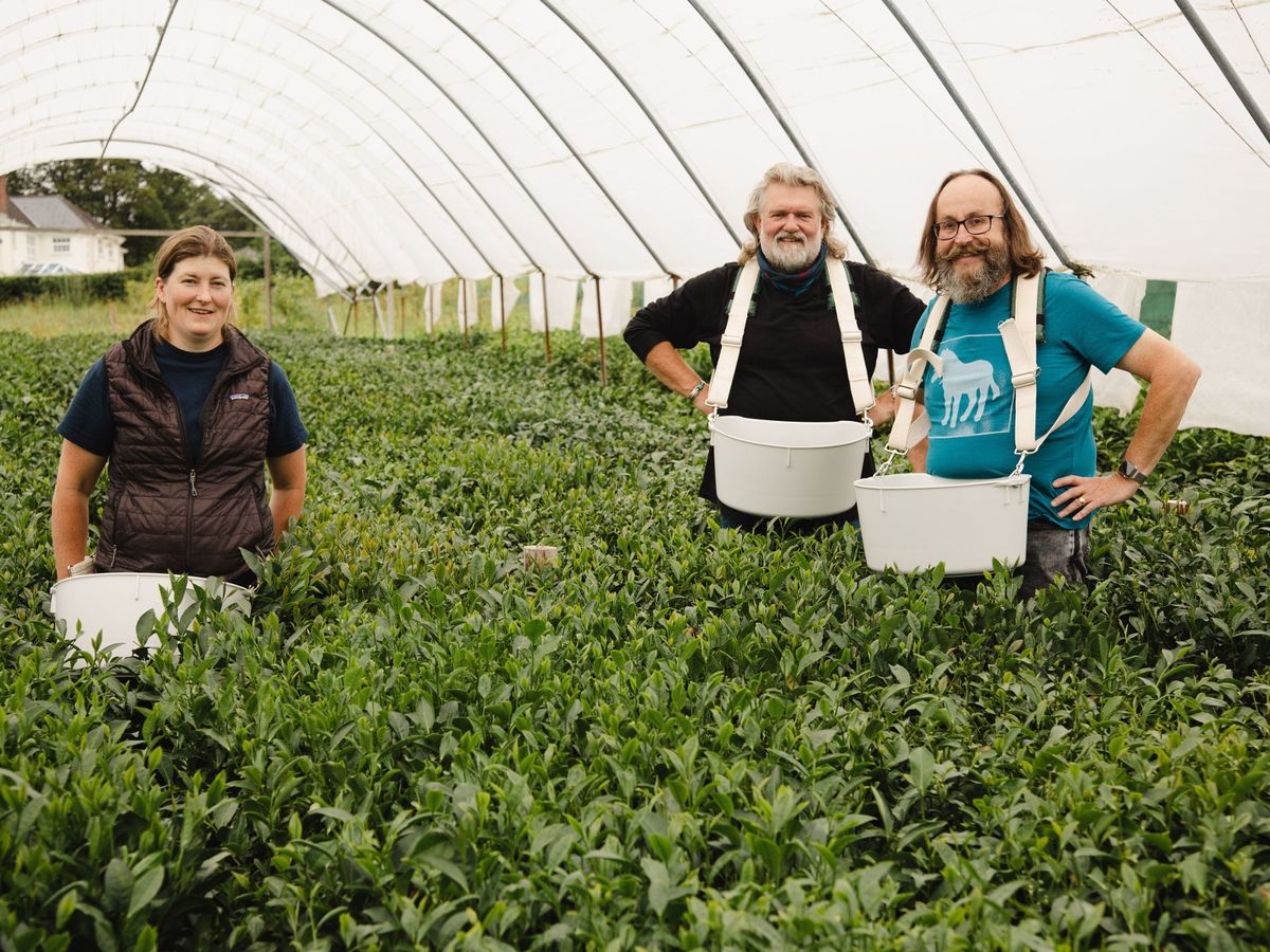 The Hairy Bikers on Go Local