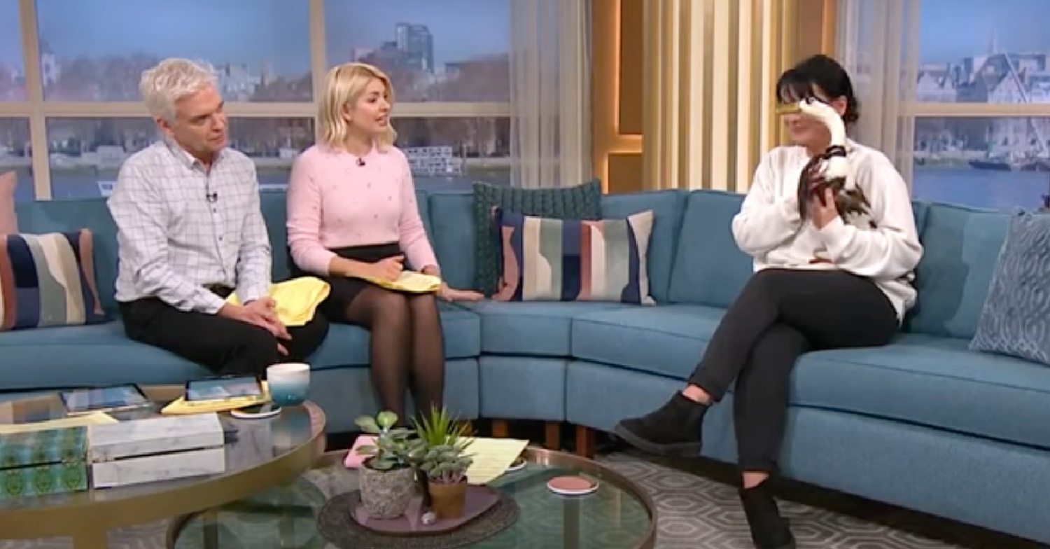 This Morning's phil and Holly interview Ham the duck
