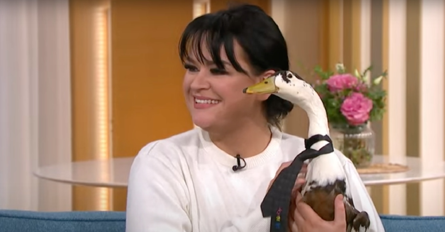 Ham the duck is interviewed on This Morning