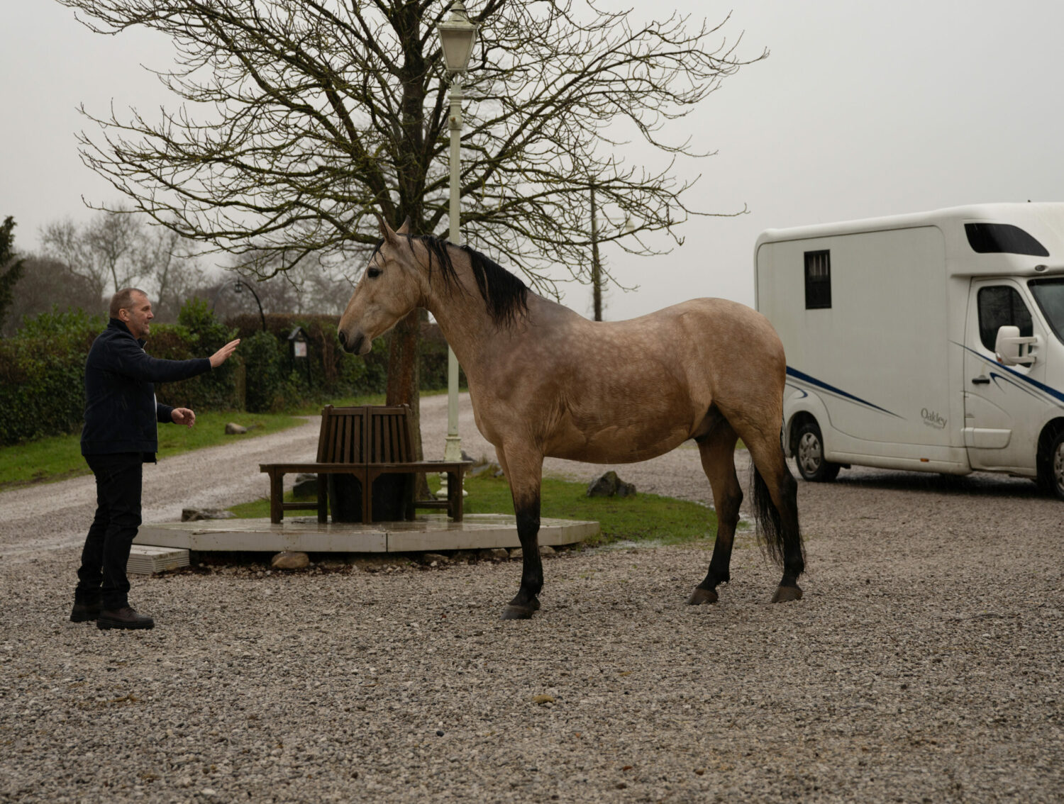 Will in Emmerdale tries to calm Apollo the horse