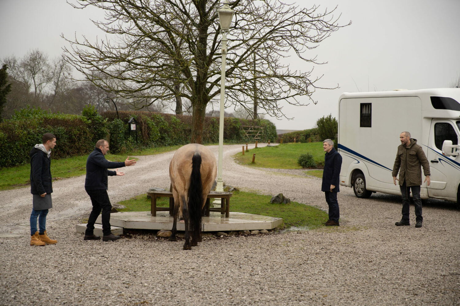Will, Jacob, Sam and Caleb try to calm the horse which has bolted in Emmerdale
