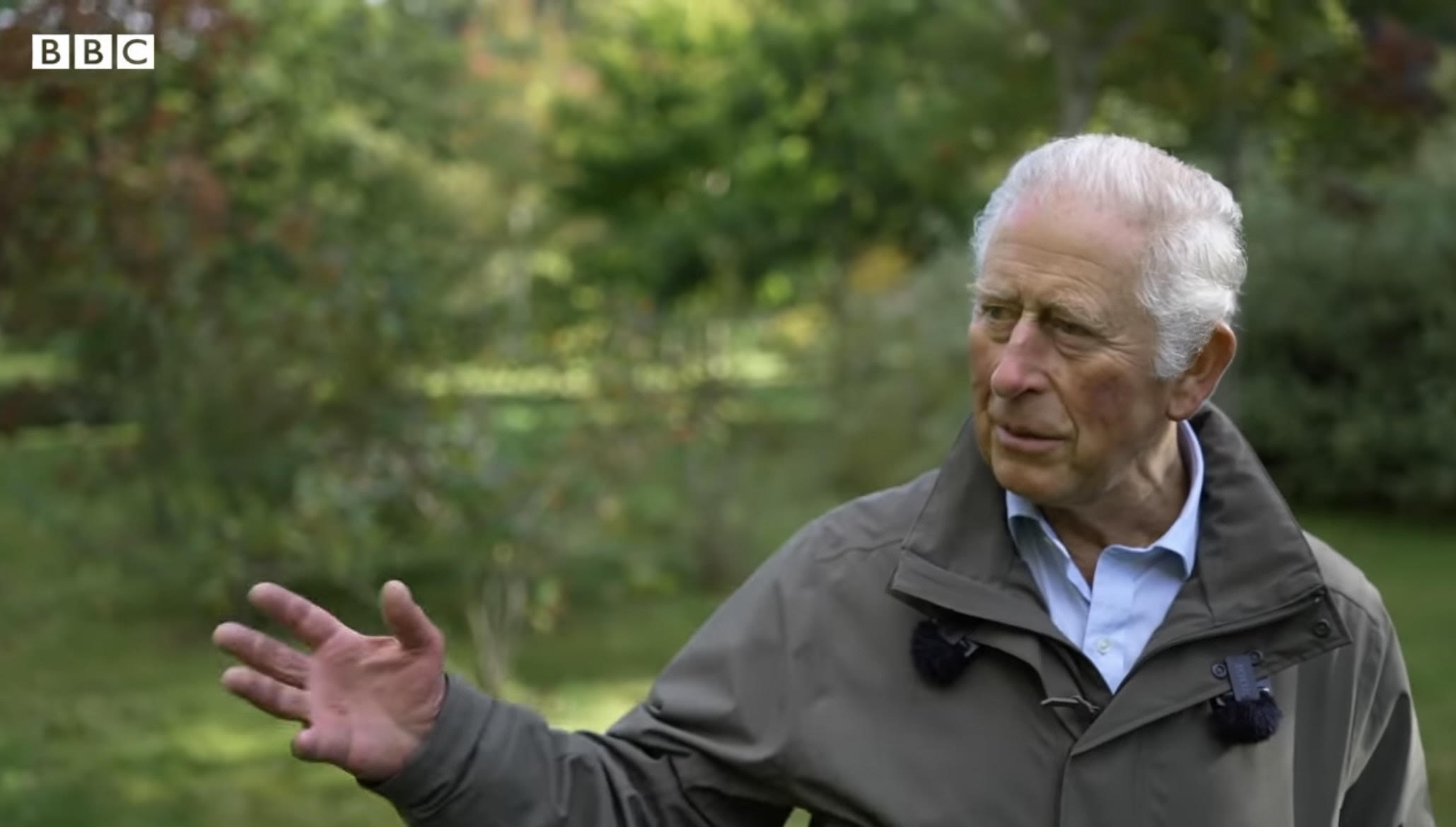 King Charles for BBC interview