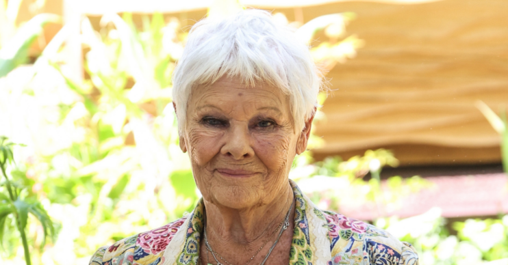 Dame Judi Dench eyes to camera in the sunshine