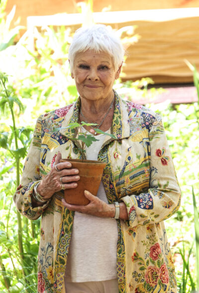 Dame Judi Dench eyes to camera in the sunshine