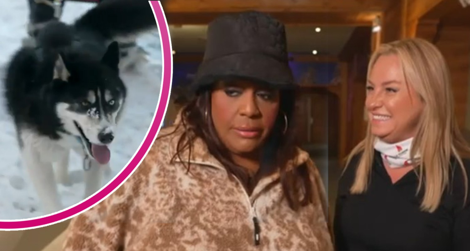 Alison Hammond, Josie Gibson with husky for This Morning