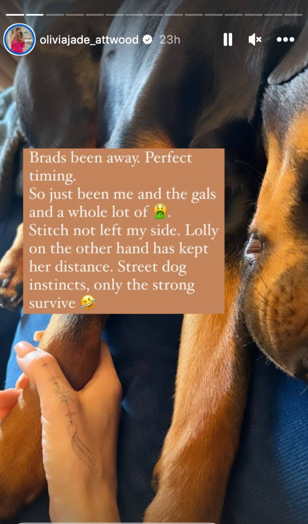 Olivia Attwood shares her latest news with fans on Instagram Stories