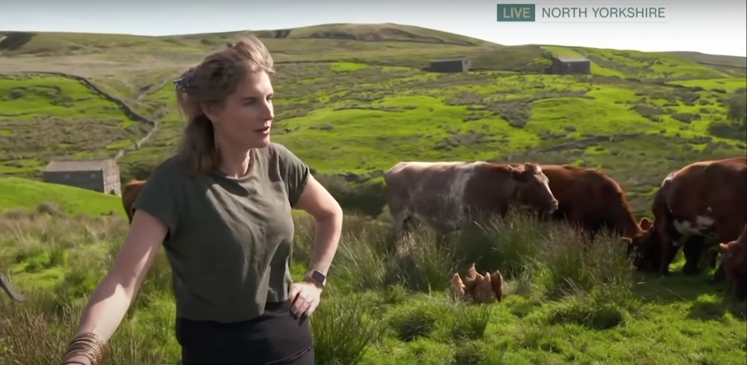 Amanda Owen on her farm on This Morning
