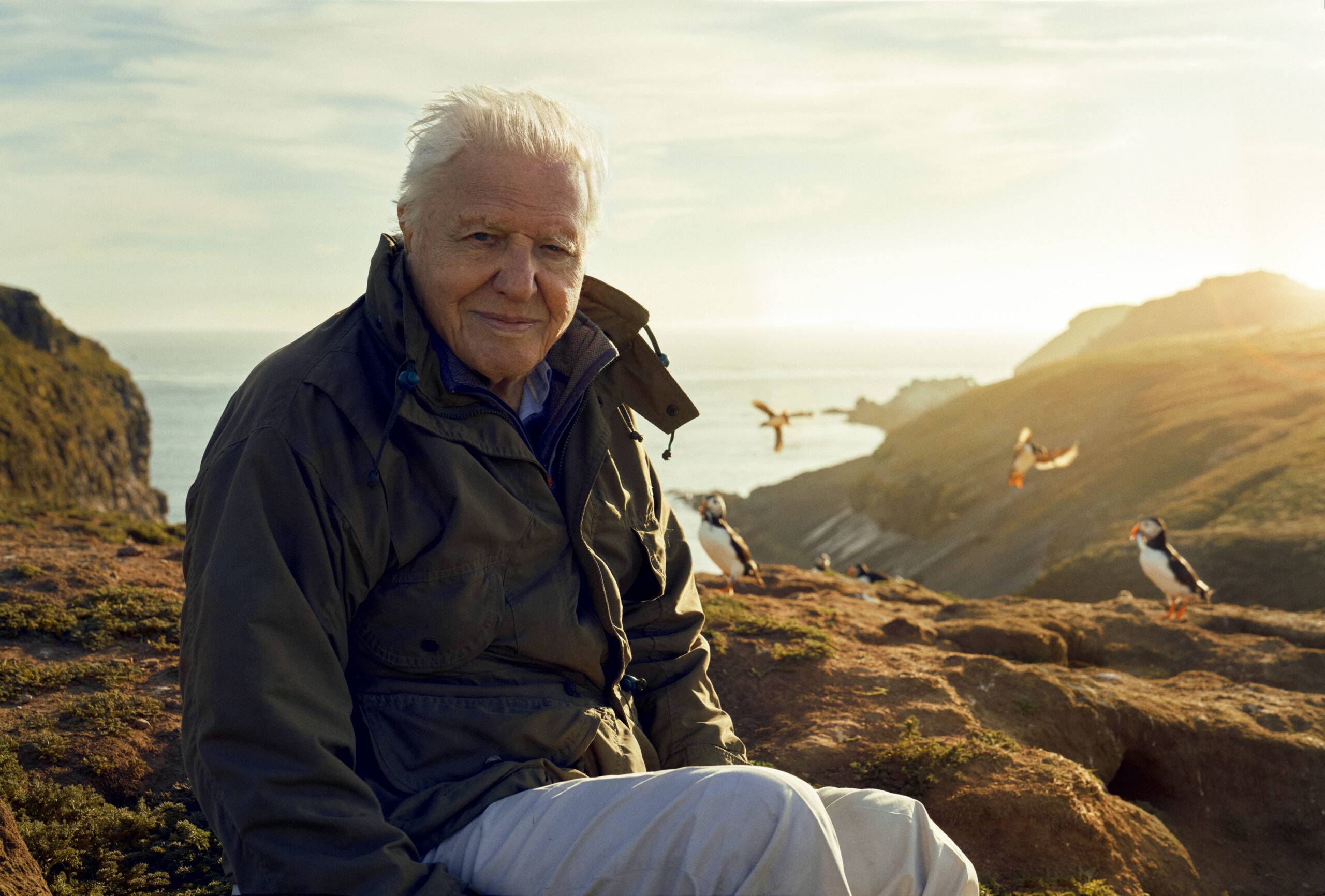 Sir David Attenborough hosts Wild Isles