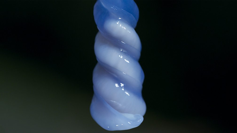 Hermaphrodite slugs entwine their penises on Wild Isles