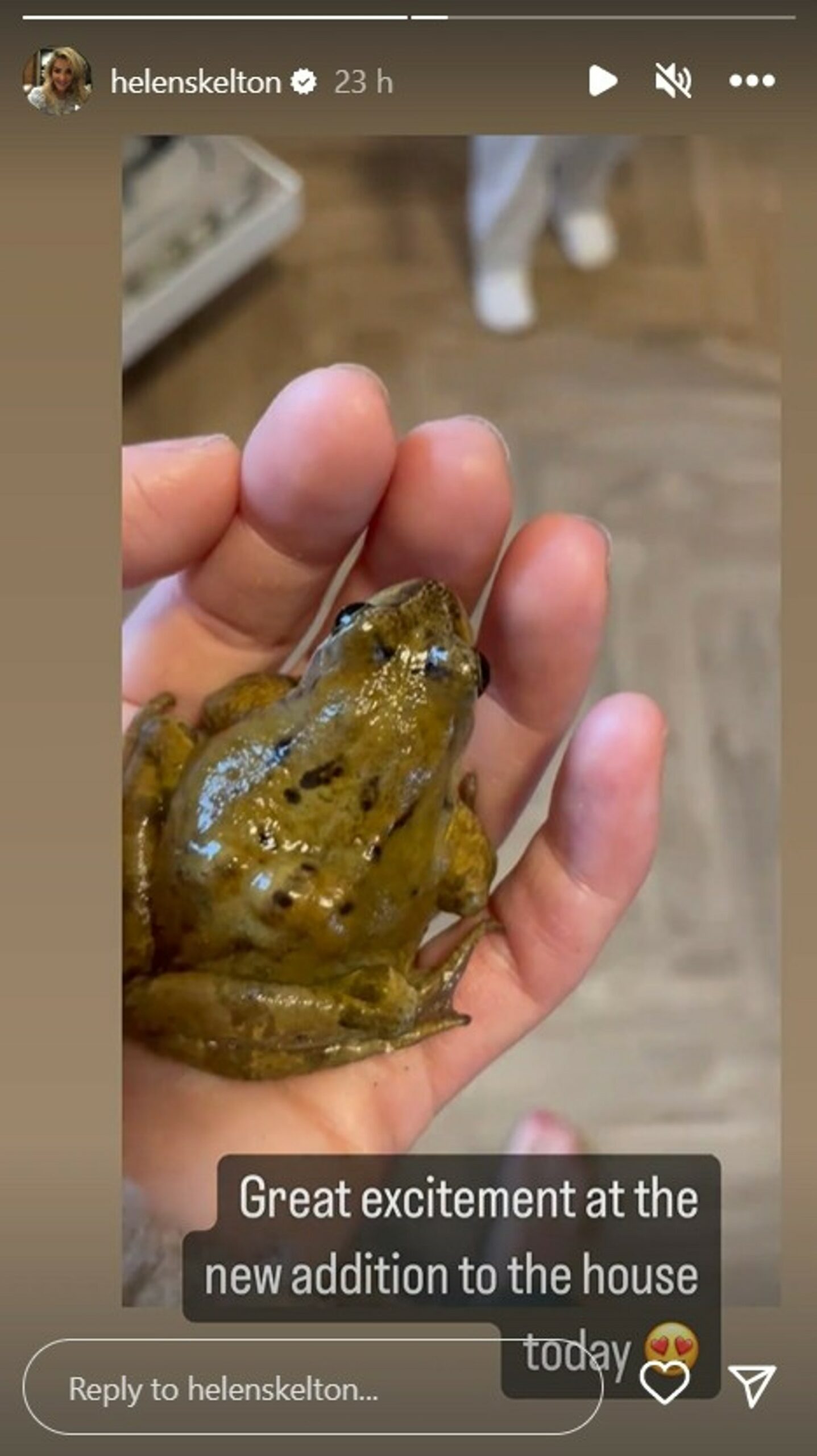 Helen Skelton holding a frog on Instagram