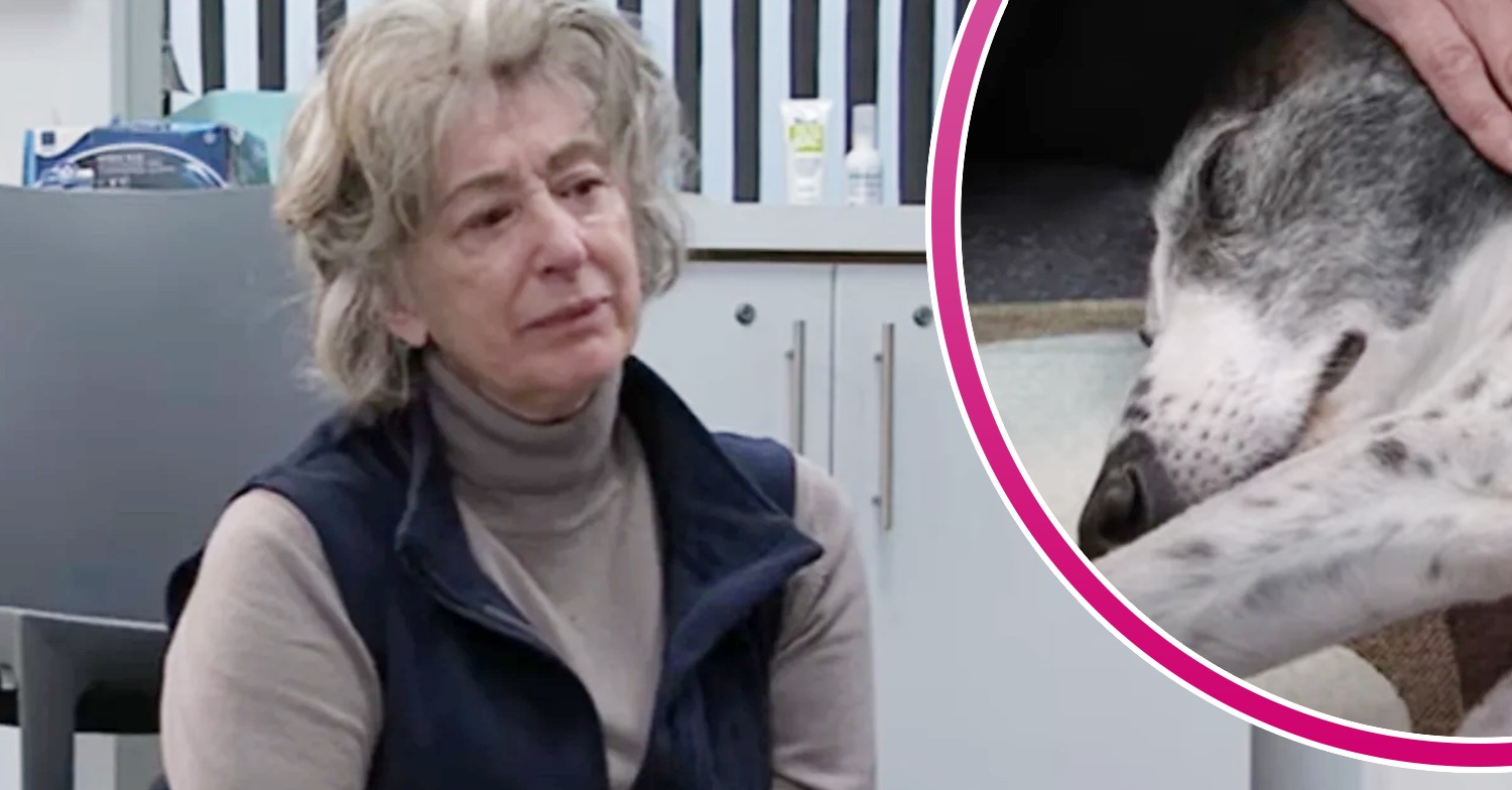 Coronation Street 's Evelyn and dog Cerberus in comp image