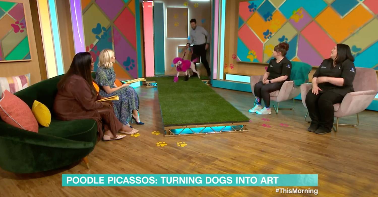 This Morning dogs take to the catwalk on ITV