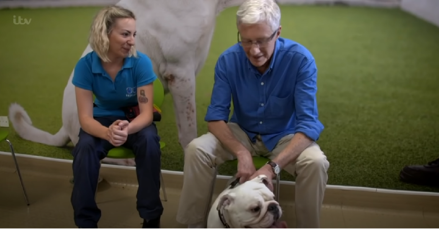 Paul O'GRady with dog on For the Love of Dogs