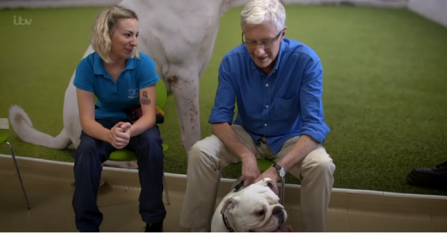 Paul O'Grady with a dog on For the Love of Dogs 