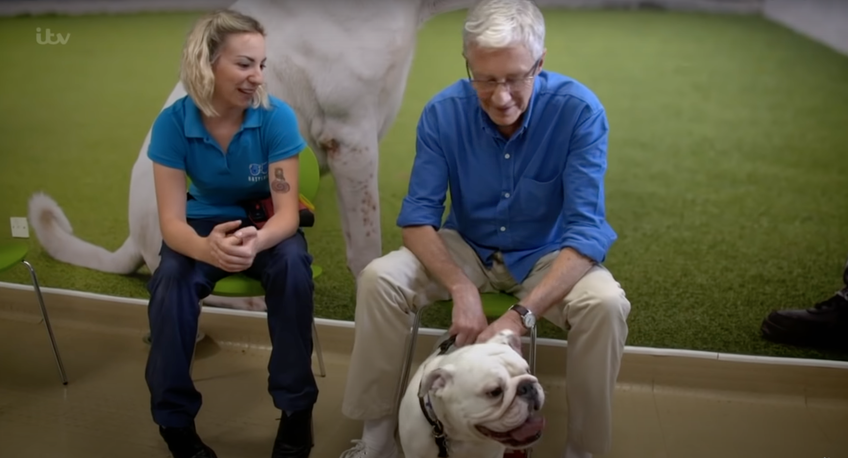 Paul O'Grady on For The Love of Dogs