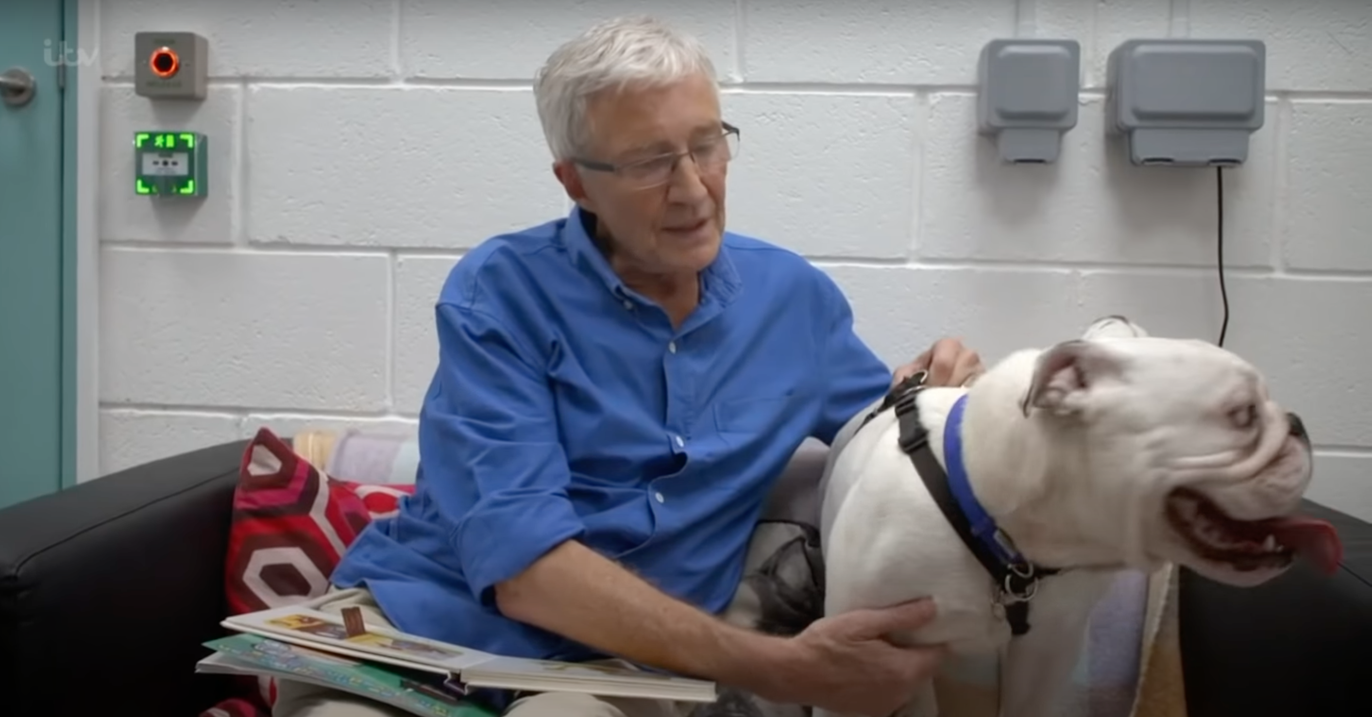 Paul O'Grady on For The Love of Dogs