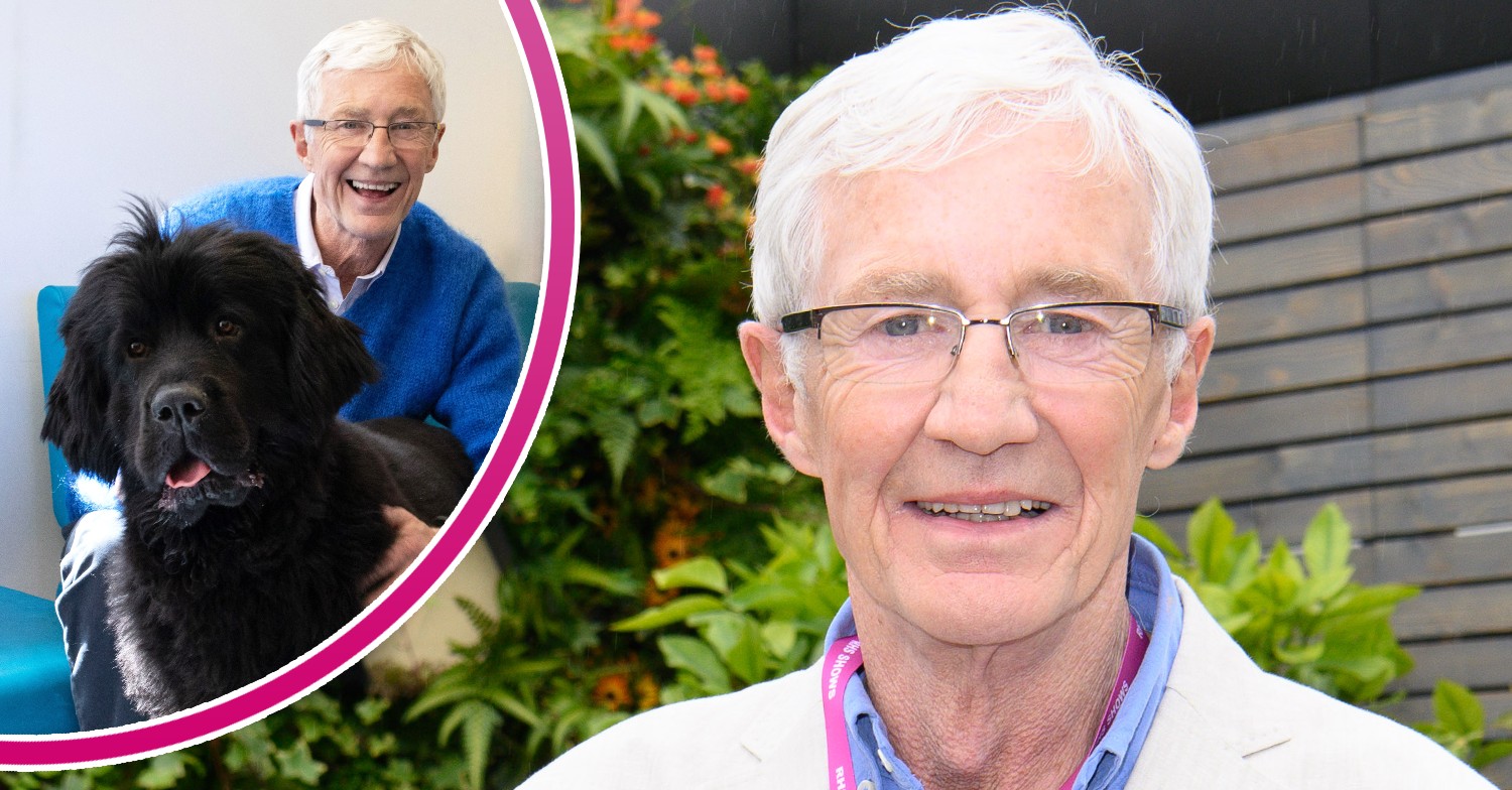 Paul O'Grady smiling at Chelsea Flower Show, Paul at Battersea with dog