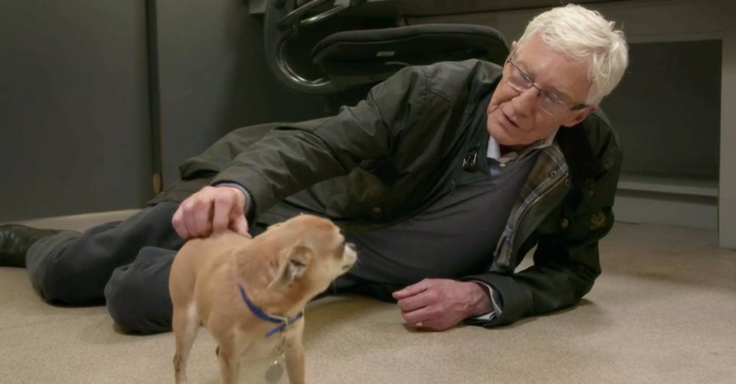 Paul O'Grady strokes a dog