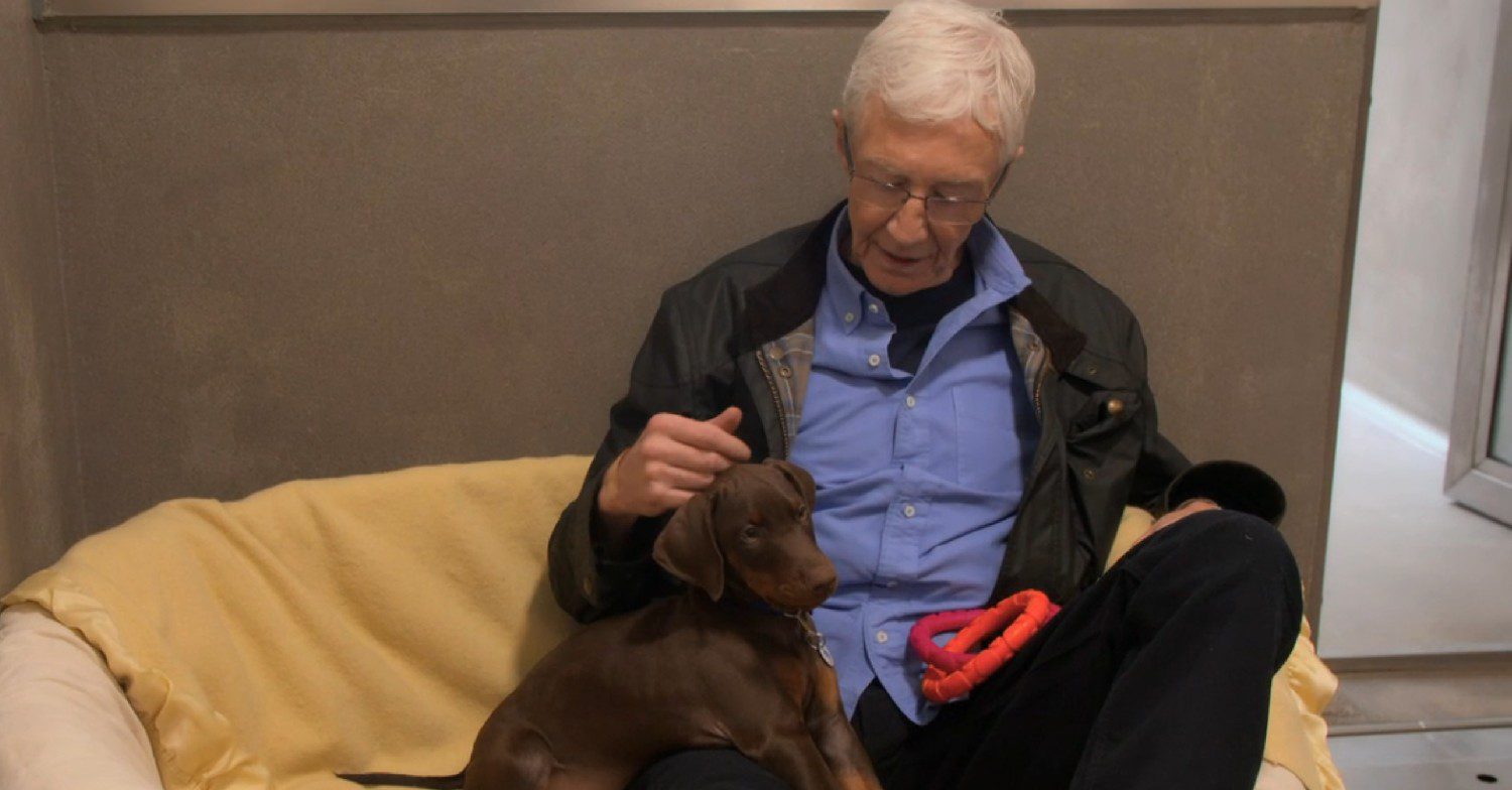 Paul O'Grady stroking a dog on For the Love of Dogs 