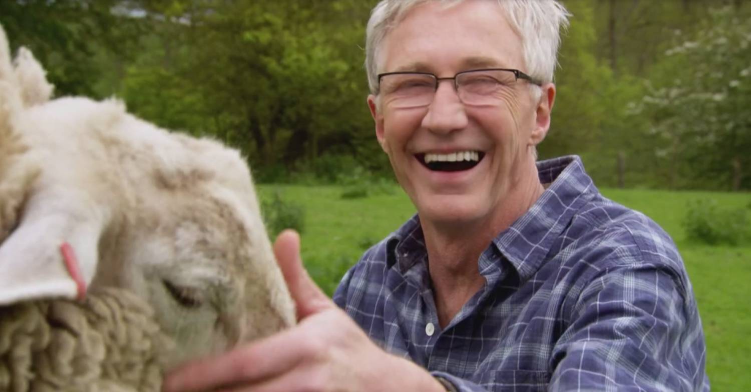 Paul O'Grady strokes a sheep