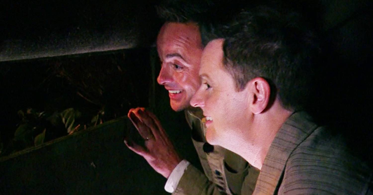 Ant and Dec look excited