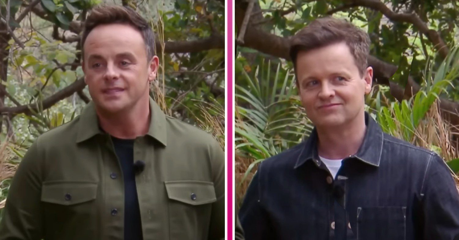 Ant and Dec on I'm A Celebrity South Africa