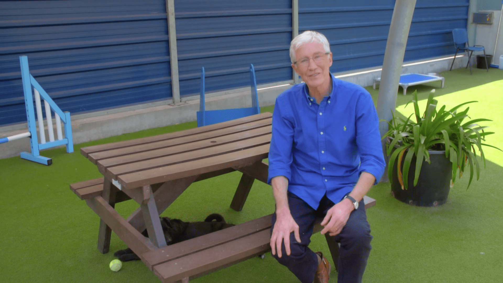 Paul O'Grady smiles on For the Love of Dogs