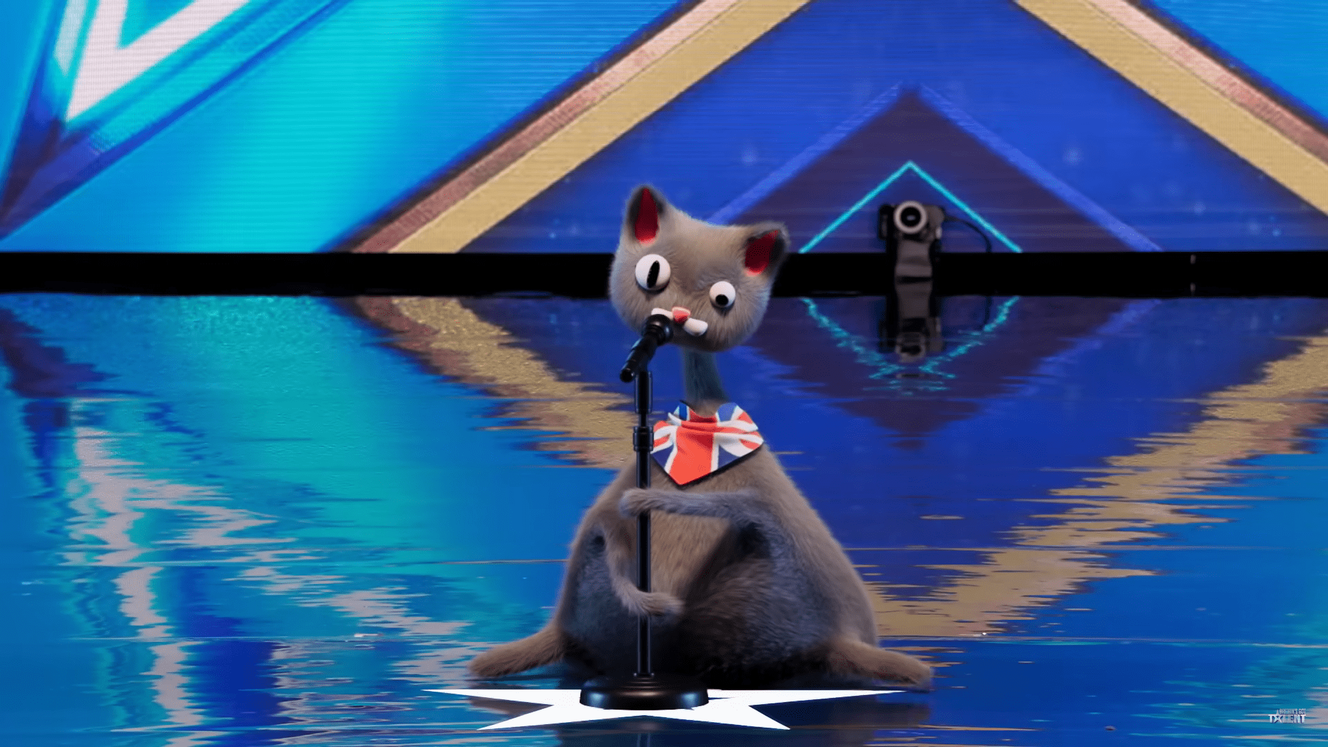 Noodles the Cat performs on BGT