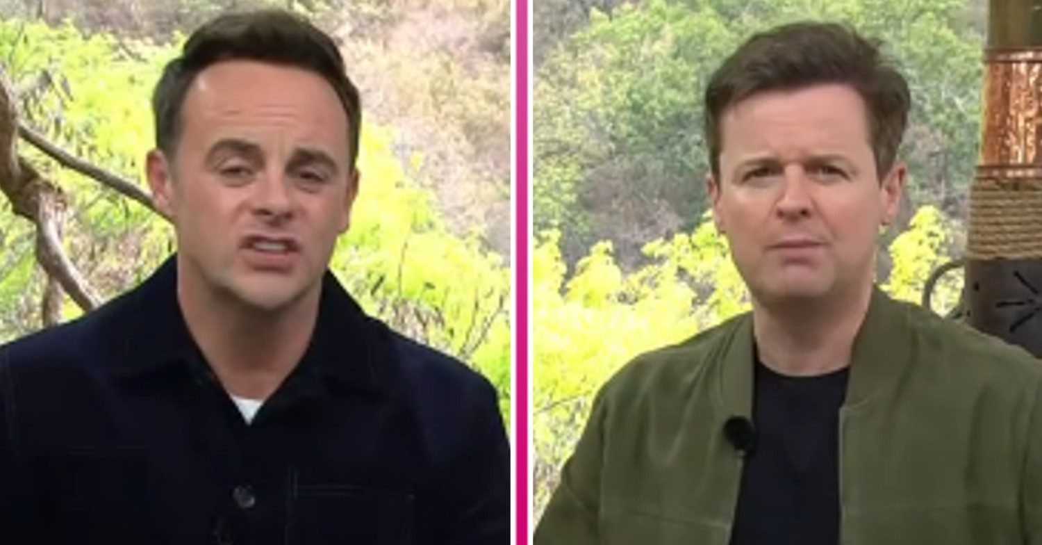 Ant and Dec on I'm A Celebrity South Africa