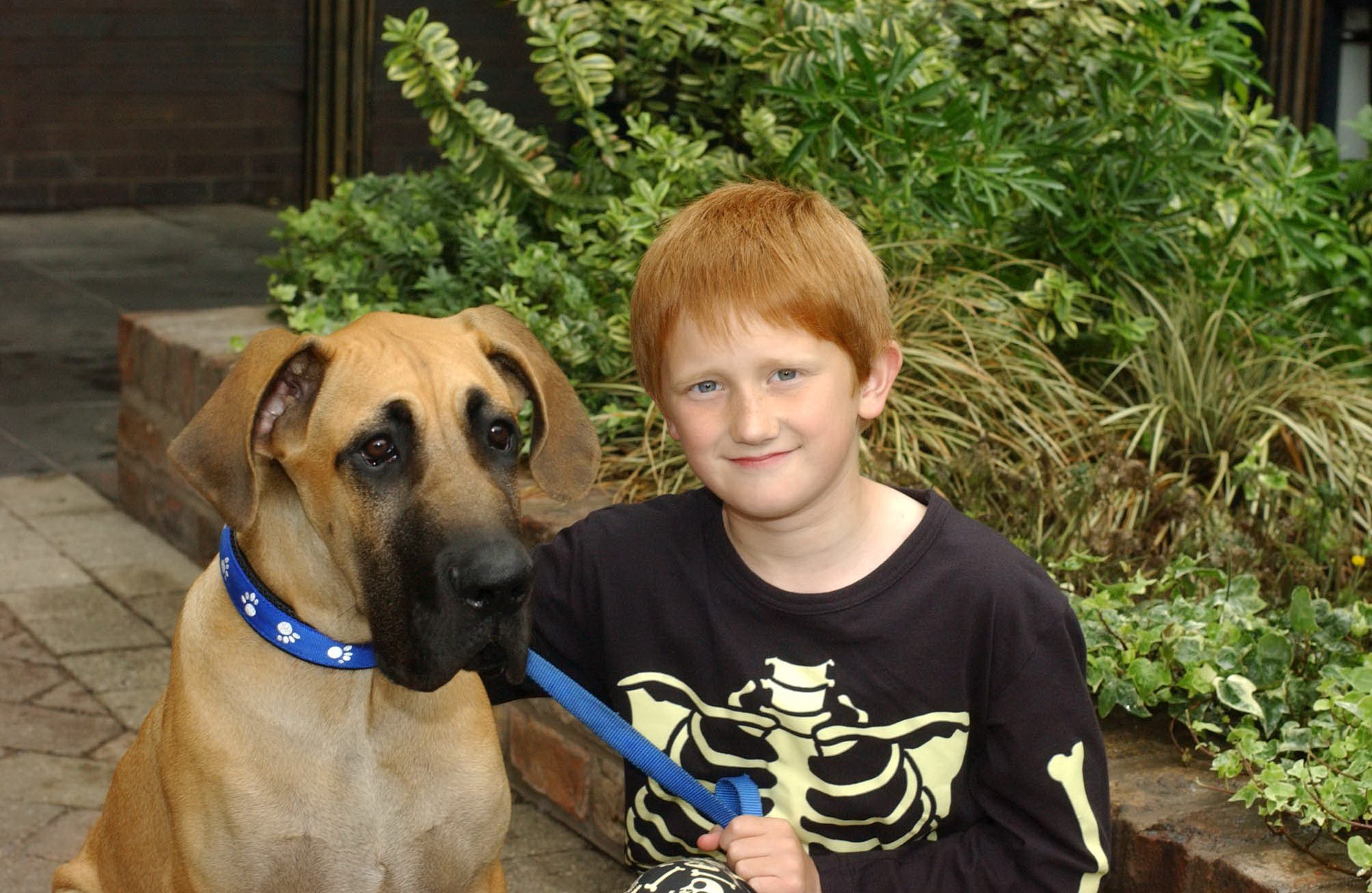Coronation Street star Sam Aston as Chesney Brown [Sam Aston] with his Great Dane Schmeichel