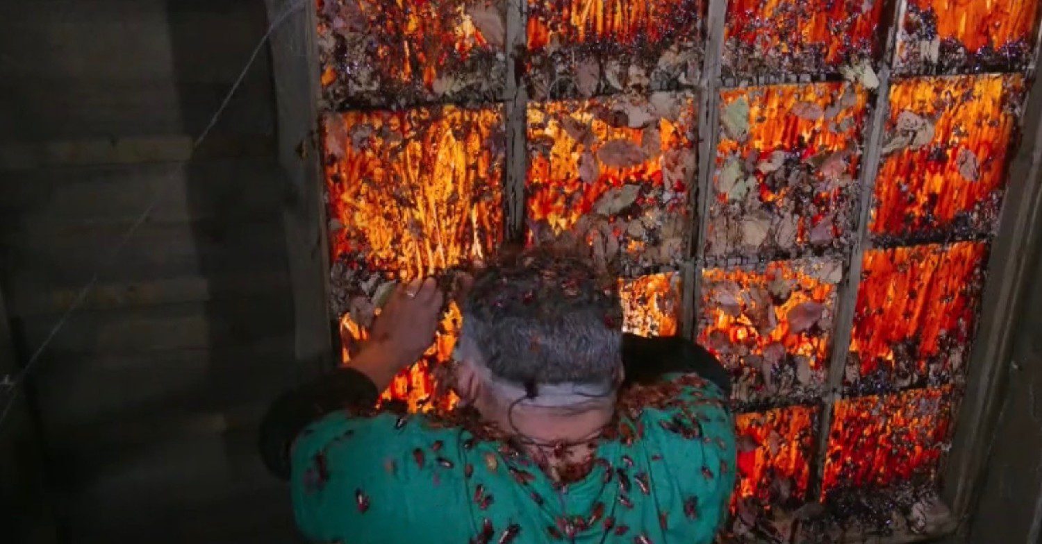 Paul on I'm A Celebrity South Africa