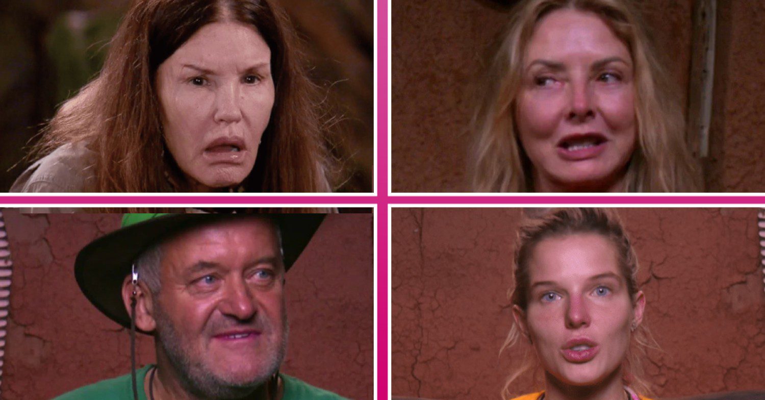 10 reasons why I'm A Celebrity... South Africa is the best thing on TV right now