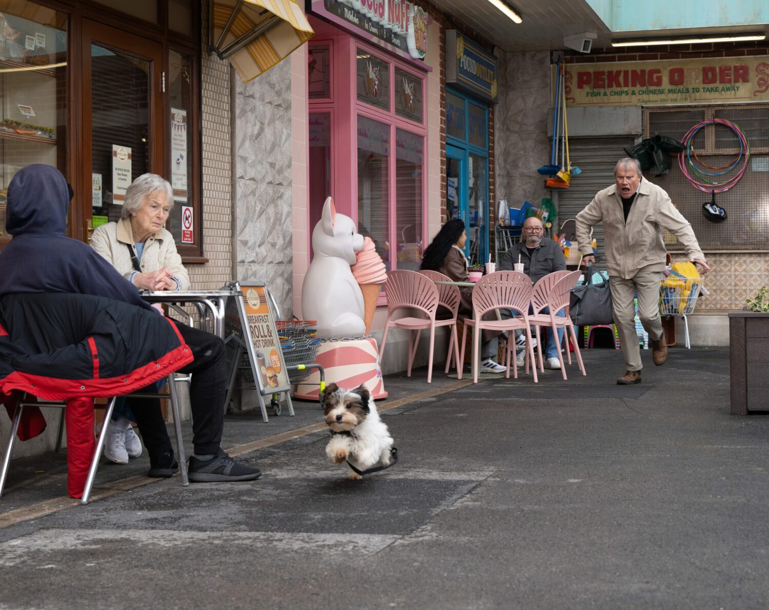 Terrified Roy Cropper chases after Freddie the dog, shouting for him to stop