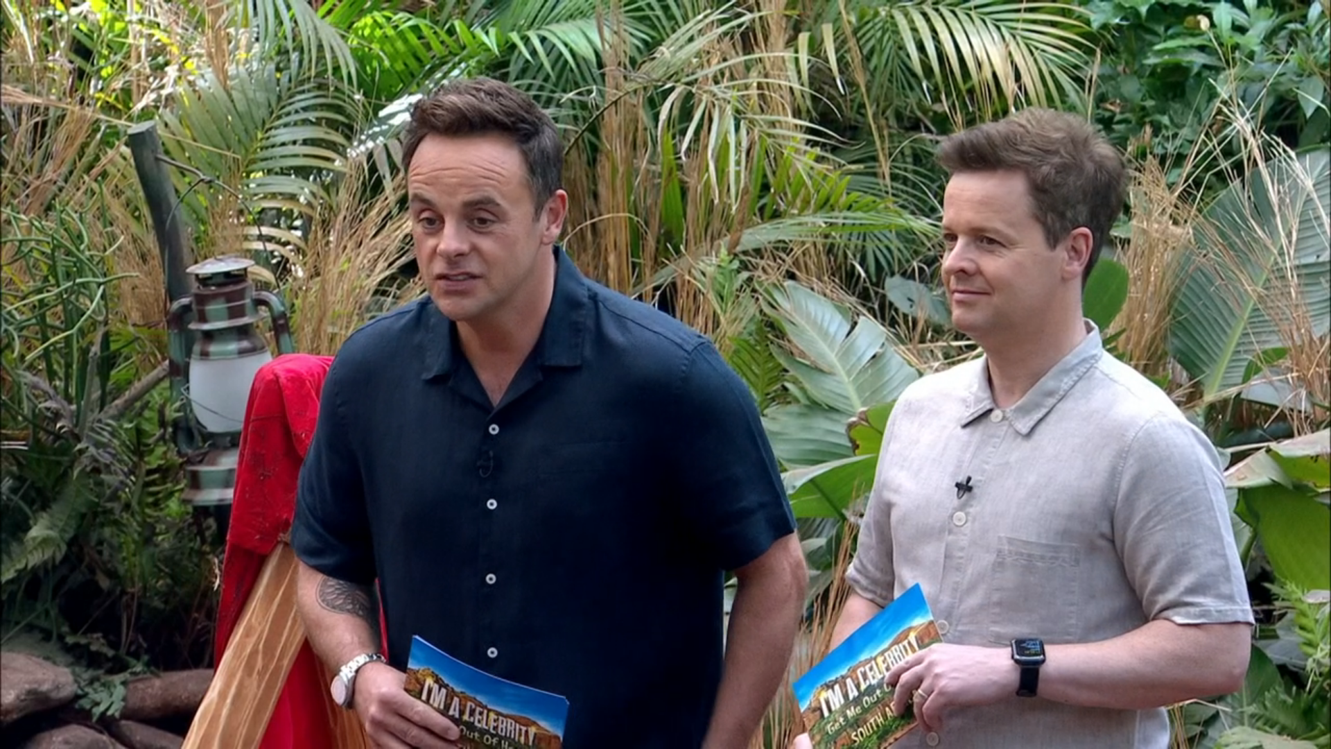 Ant and Dec frown on I'm A Celeb South Africa