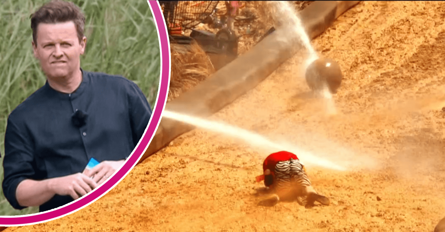 Declan Donnelly and the I'm A Celebrity cyclone