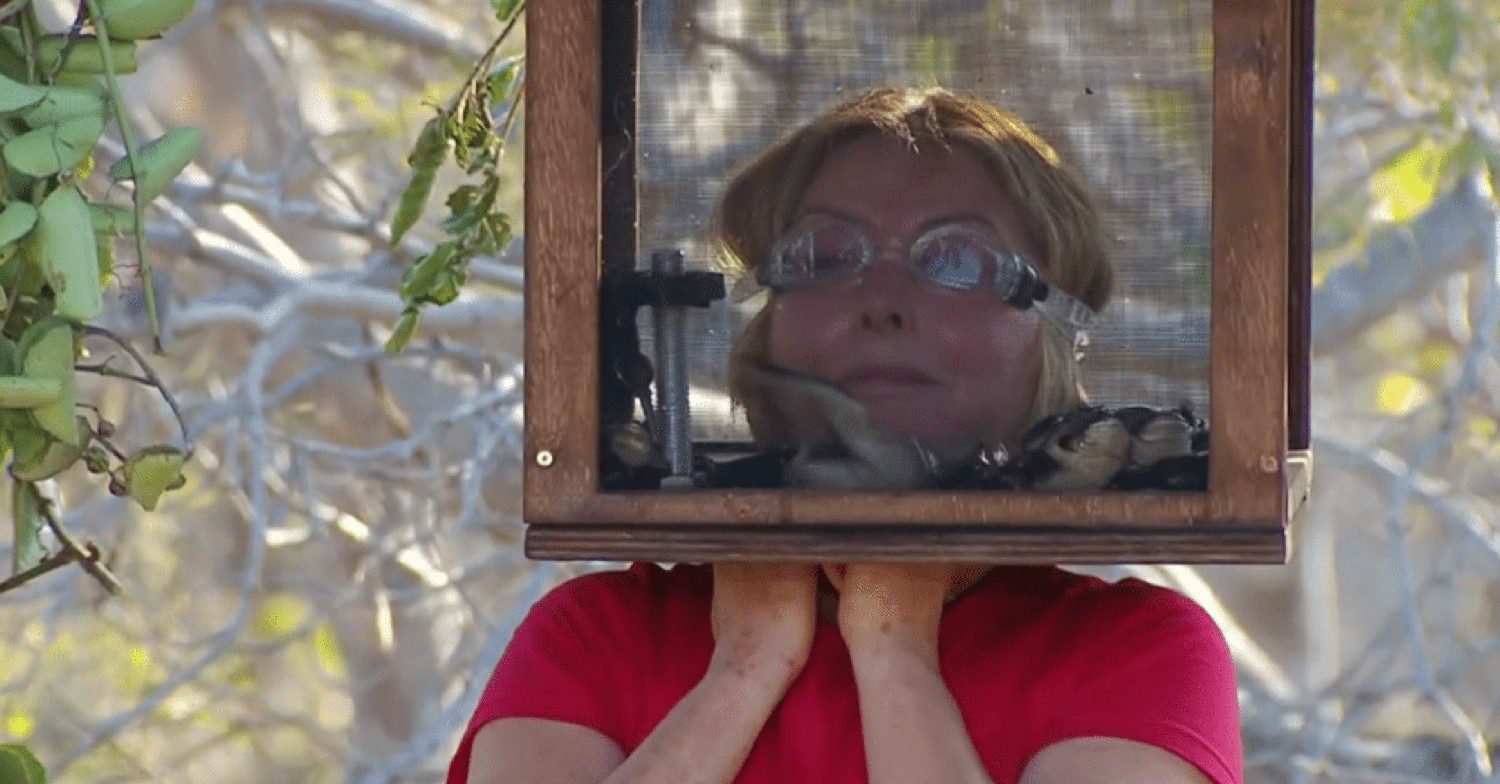 Carol Vorderman with her head in a box on I'm A Celebrity South Africa 