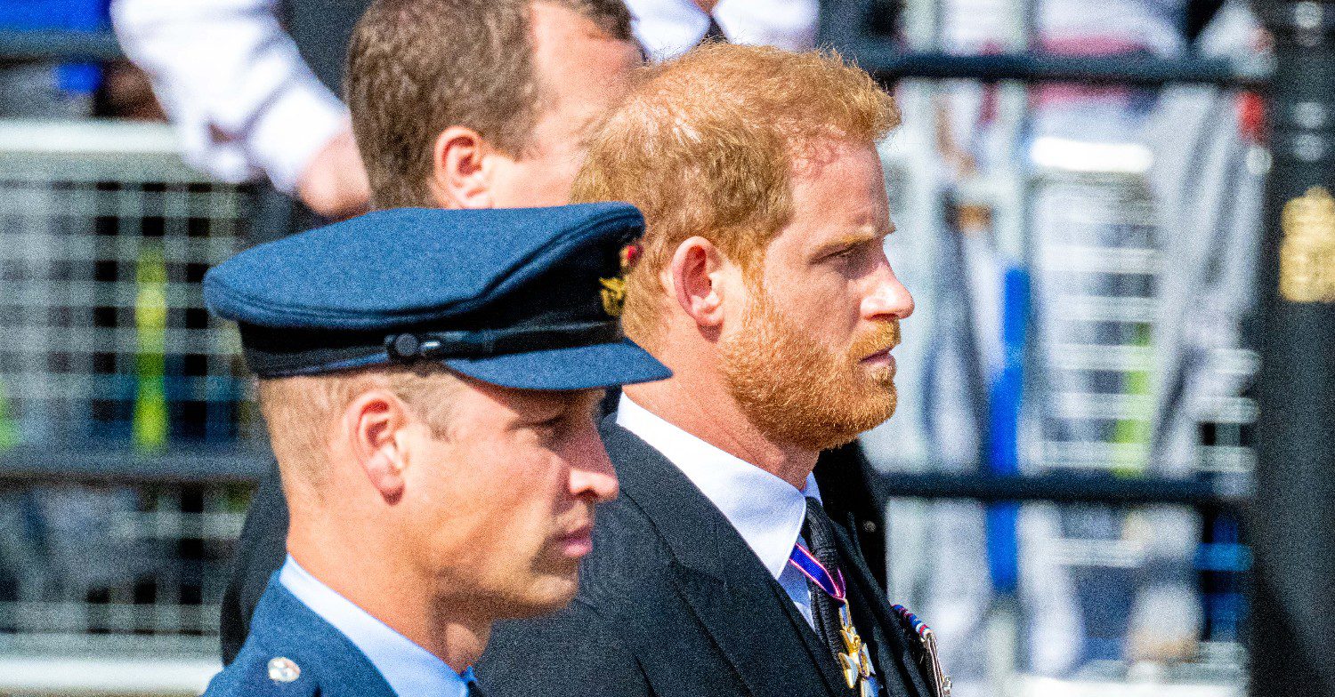 Prince William and Prince Harry 