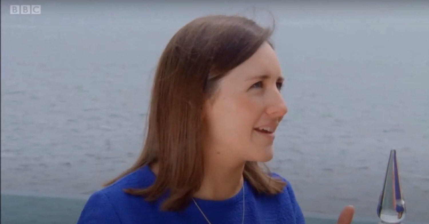 Theo Burrell on Antiques Roadshow