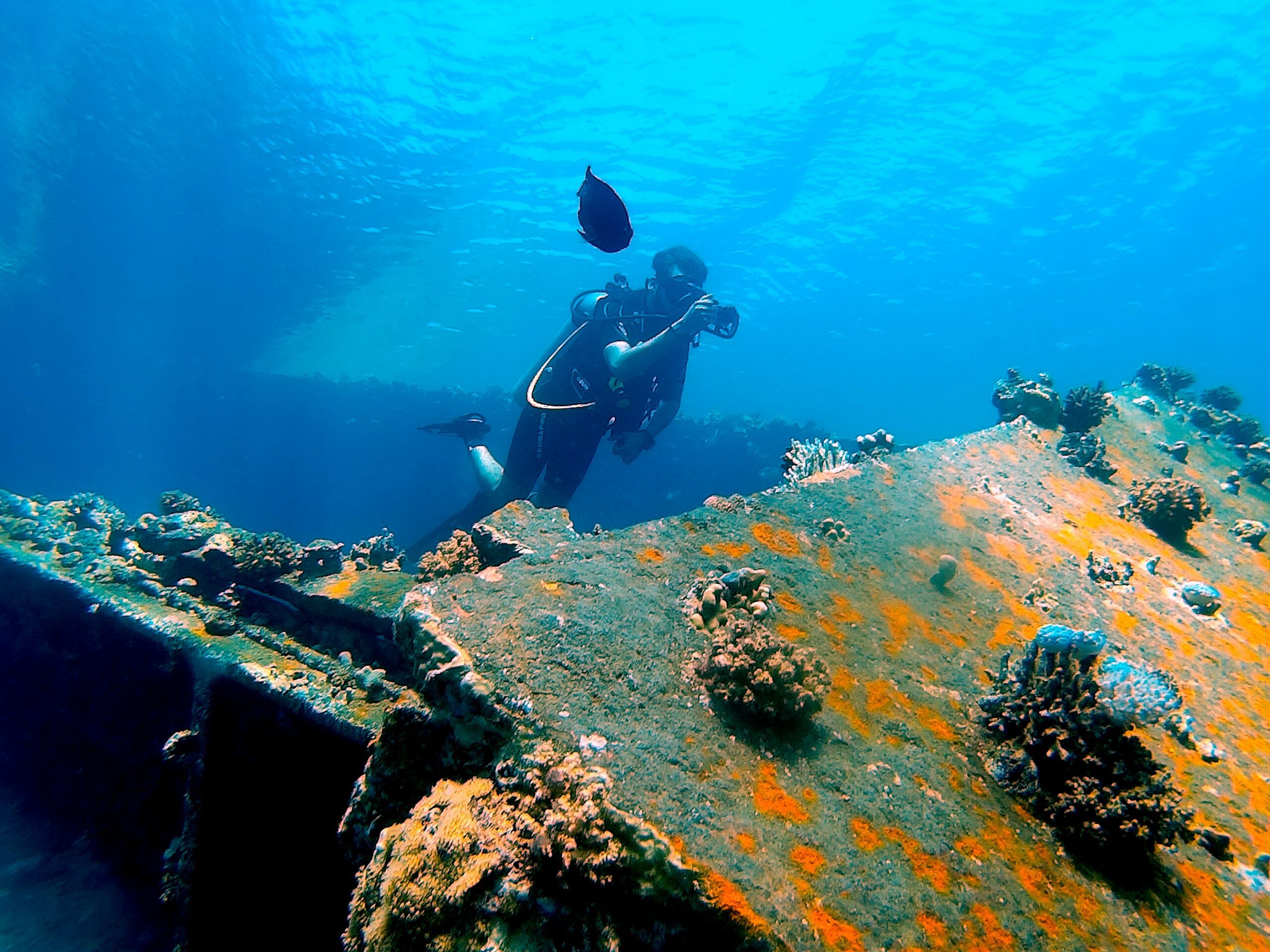 Diver exploring shipwreck