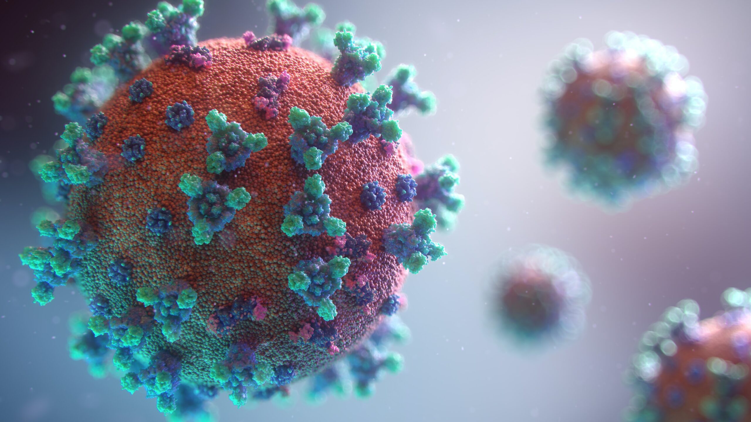 Graphic of a virus
