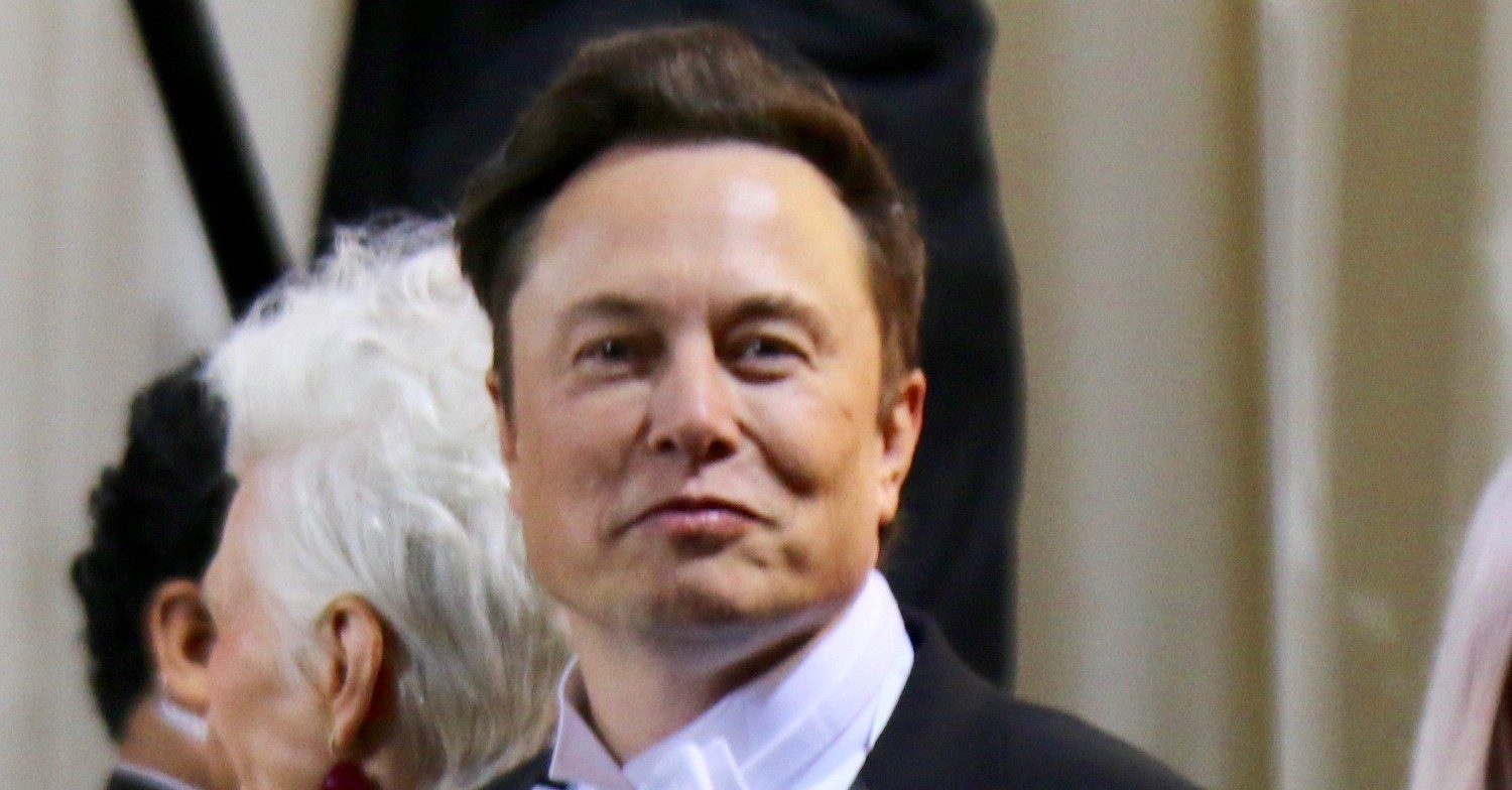 Elon Musk smirking