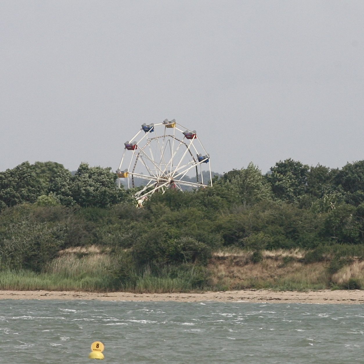A ferris wheel above the trees