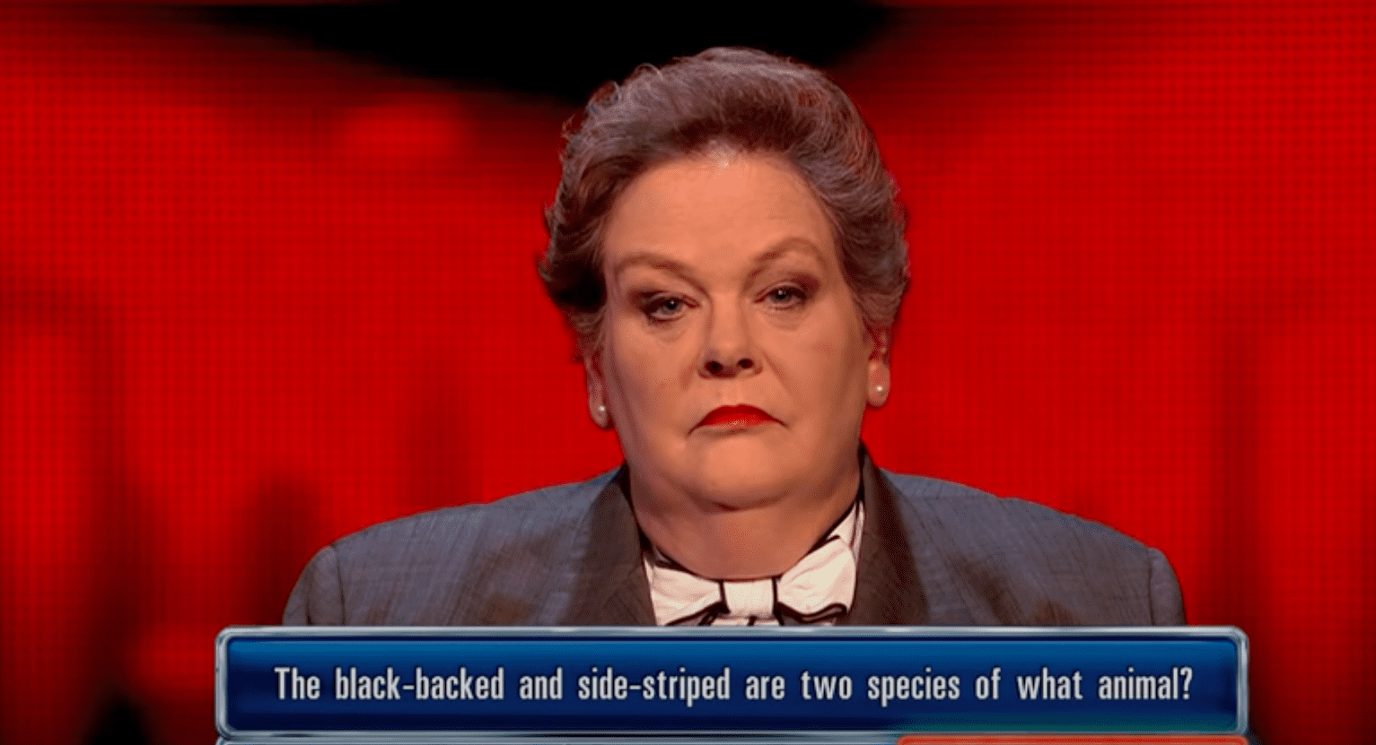Anne Hegerty on The Chase