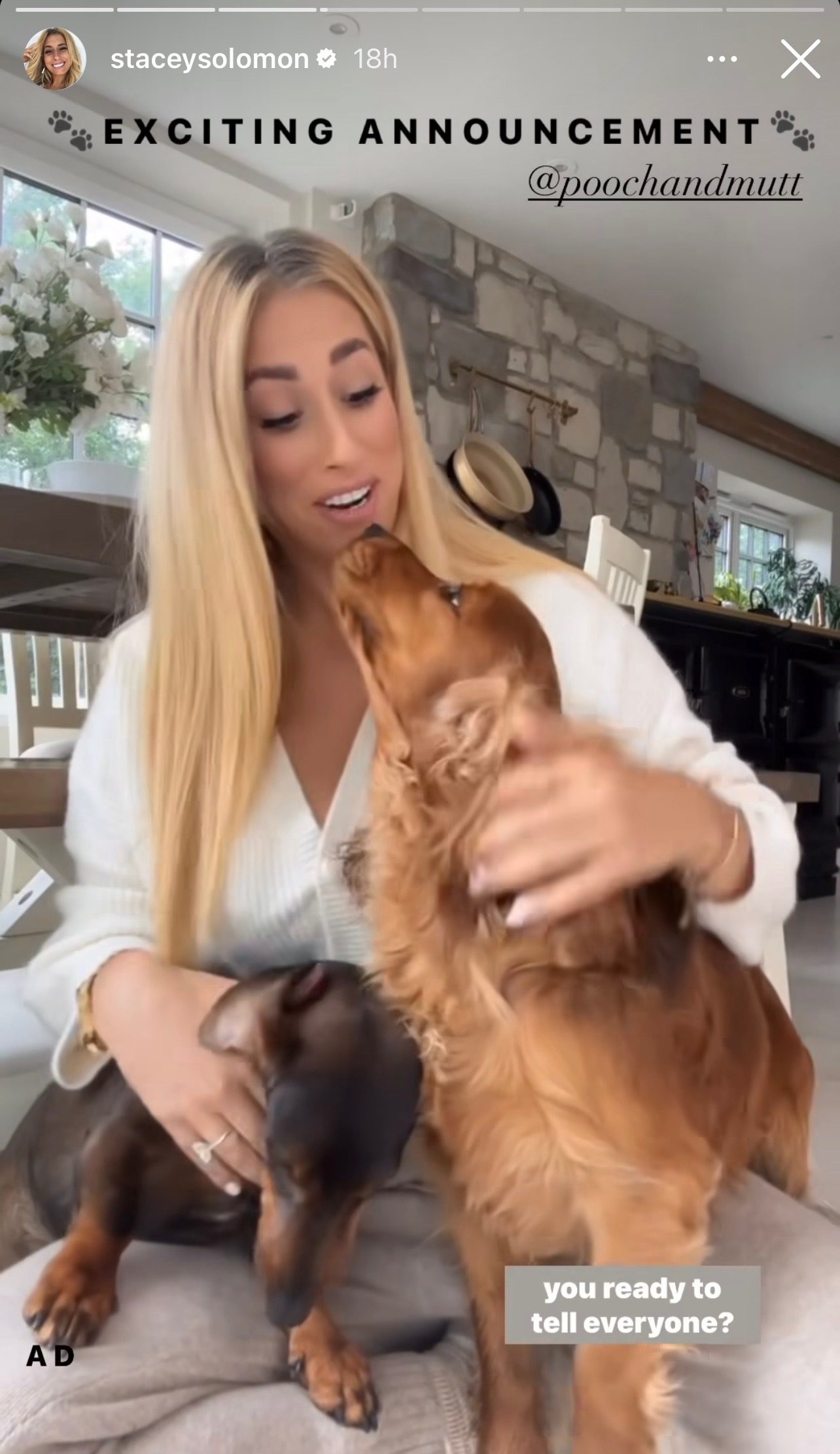Stacey Solomon and her dugs during an Instagram video