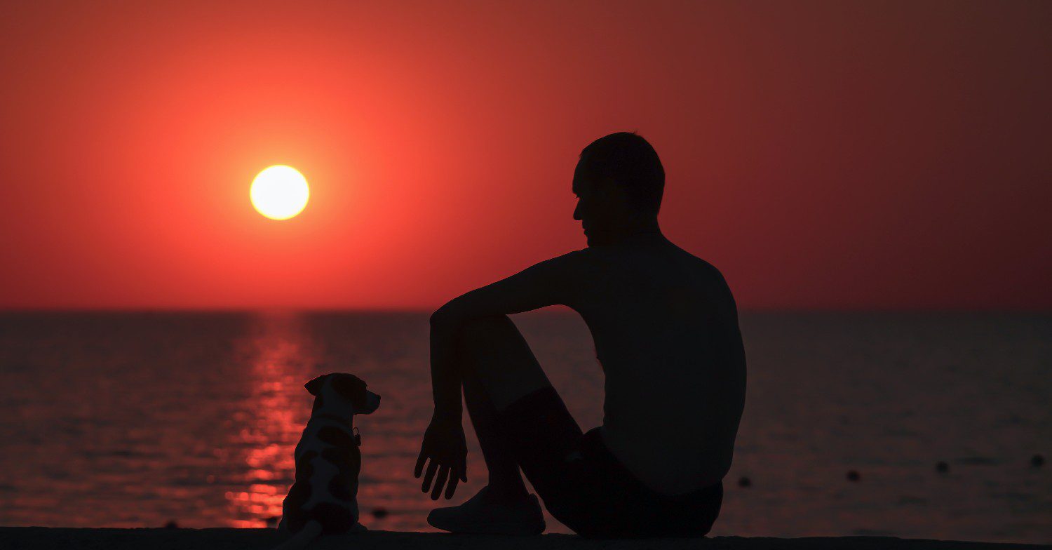 Man and dog sunset