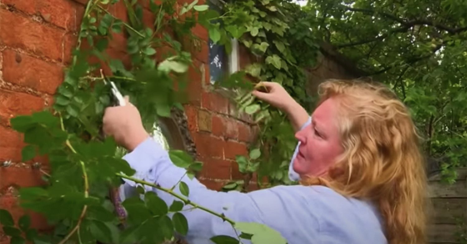 Charlie Dimmock garderning 
