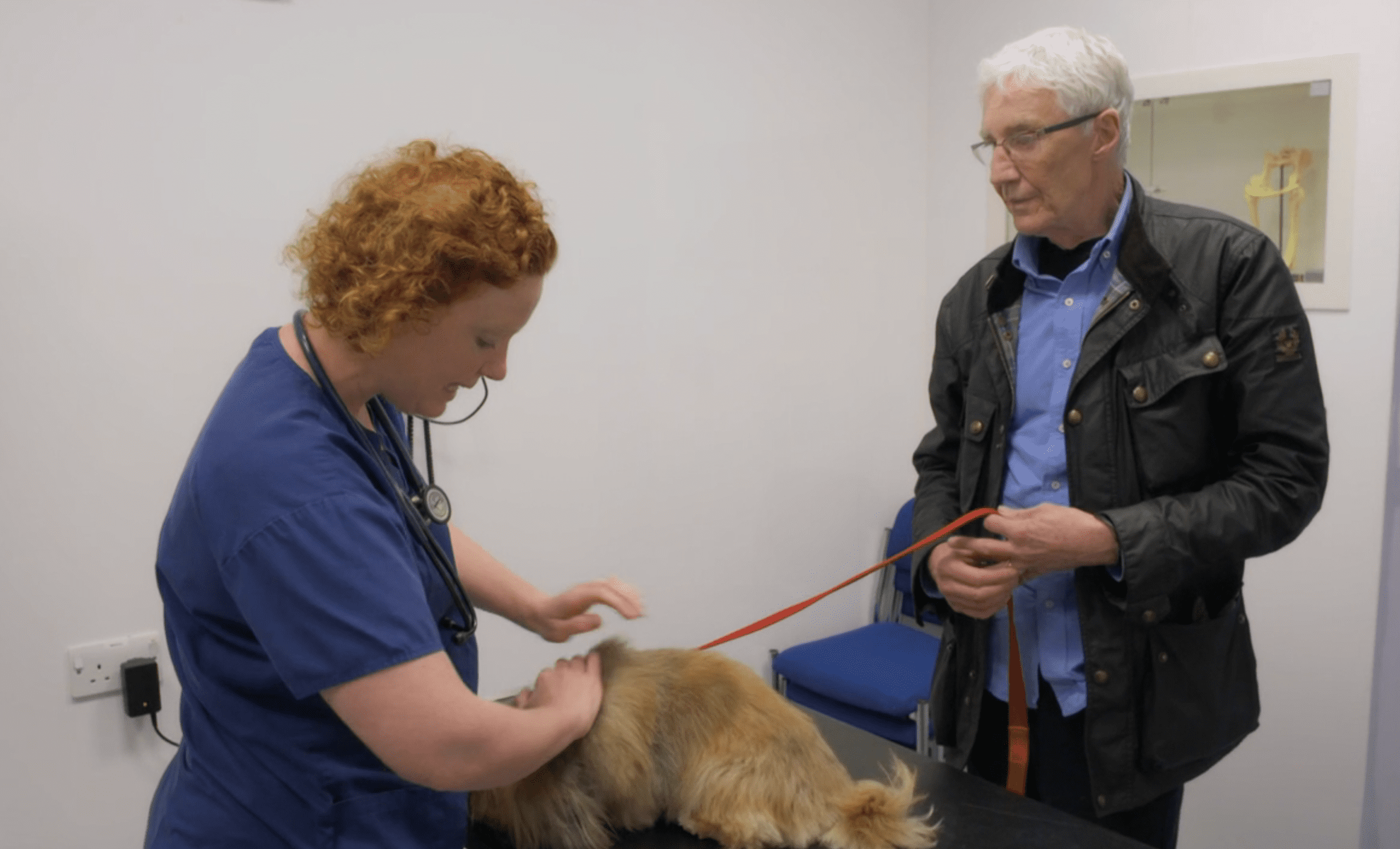 Paul O'Grady with a vet and a dog on For The Love Of Dogs