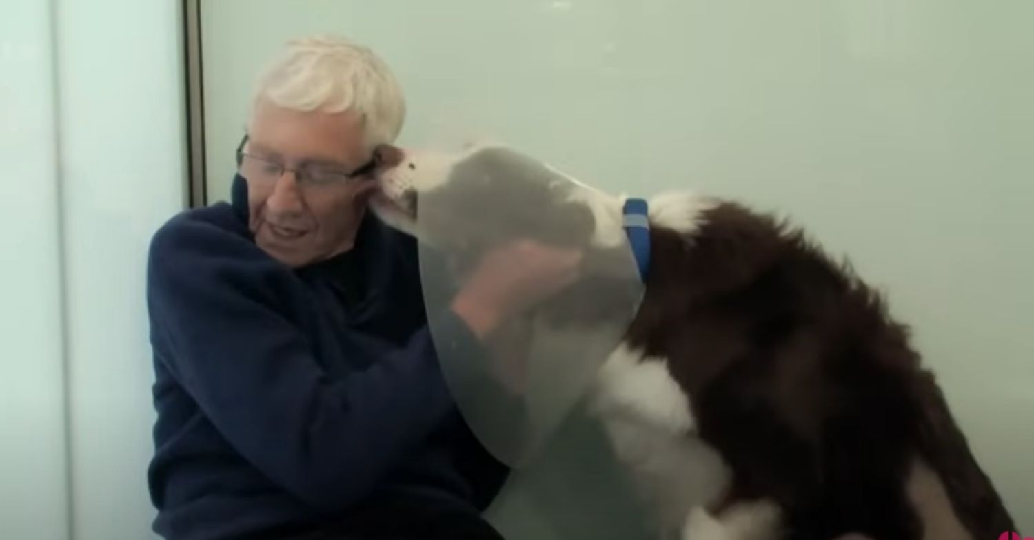 Paul O'Grady on For The Love of Dogs
