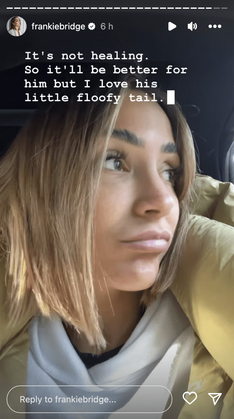 Frankie Bridge Instagram